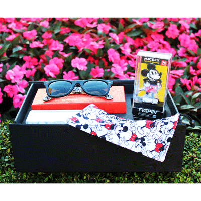 Sunglass Hut Gift Set with Mickey Mouse Wayfarer Ray-Bans & FiGPiN!